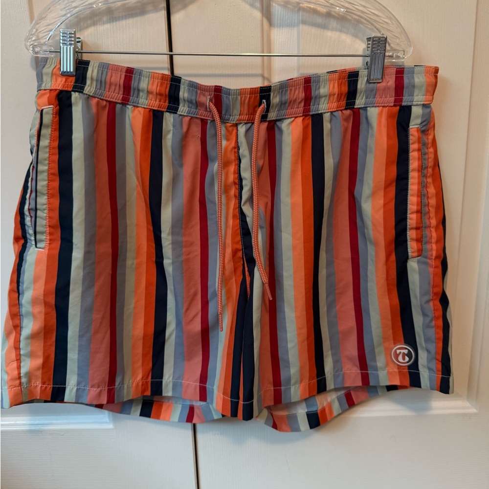 Topman Colorful Striped Swim Shorts